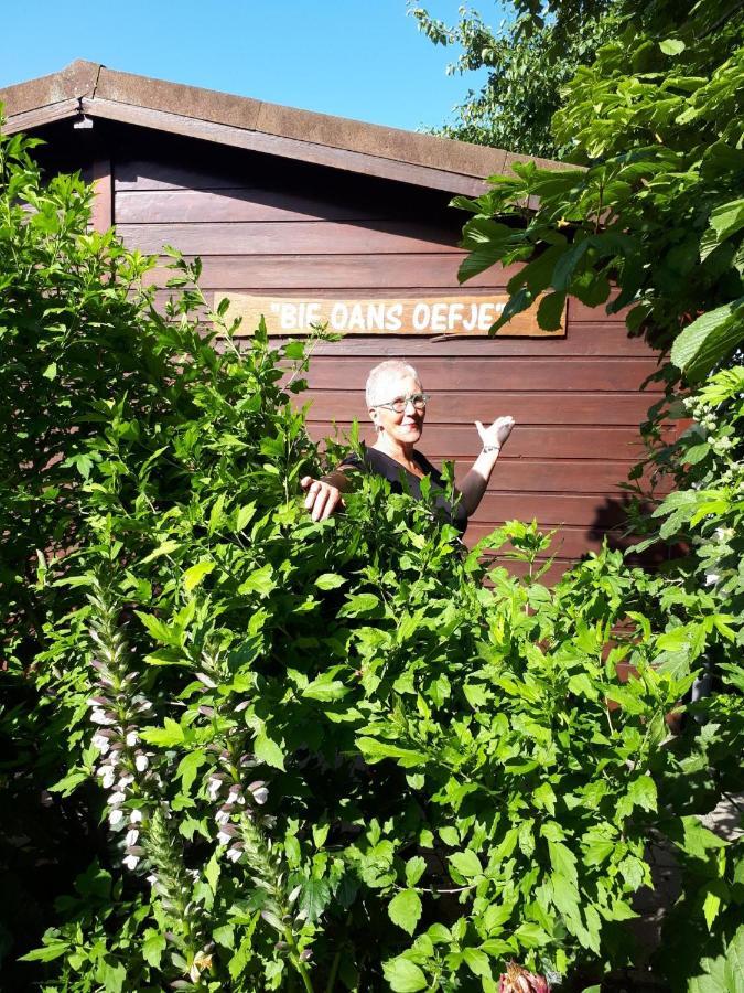 Bie Oans Oefje Villa Lewedorp Kültér fotó