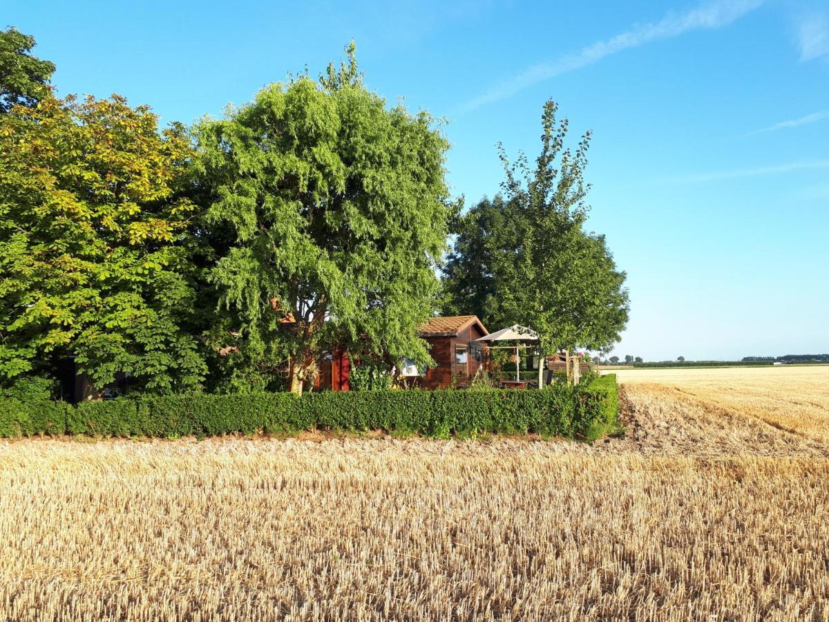 Bie Oans Oefje Villa Lewedorp Kültér fotó